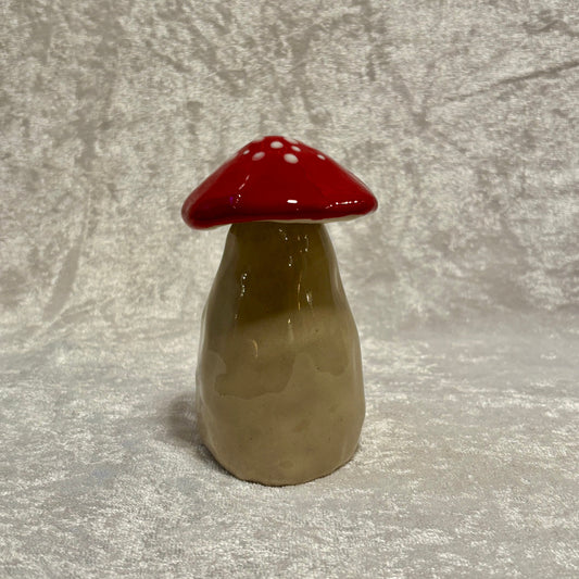 Flugsvamp (ø 6 cm)