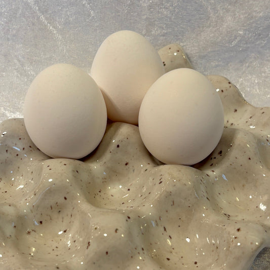 Äggfat (15 ägg)